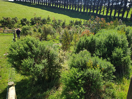 Baxter with Gene.jpg