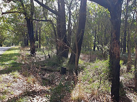 VicRoads%20Site%20LaversHill%20Rd%20Broo