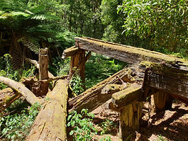 Beechy Rail Trail 2.jpg